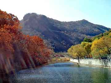 新澳门二四六天天彩，都市天龙 一米水田